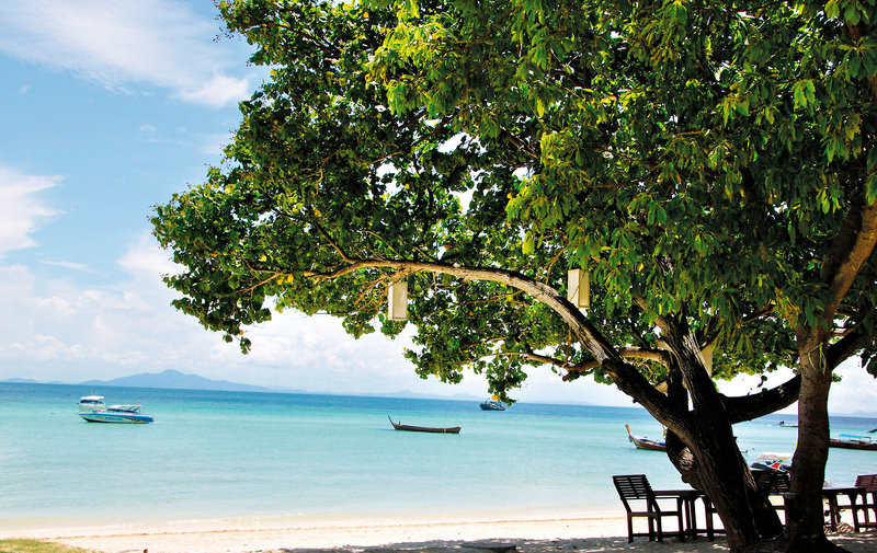 Ferien im Phi Phi Erawan Palms Resort - hier günstig online buchen