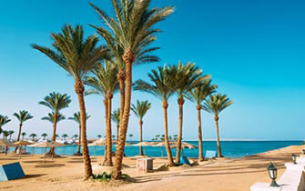 Ferien im Hilton Hurghada Resort & Club - Club - hier günstig online buchen